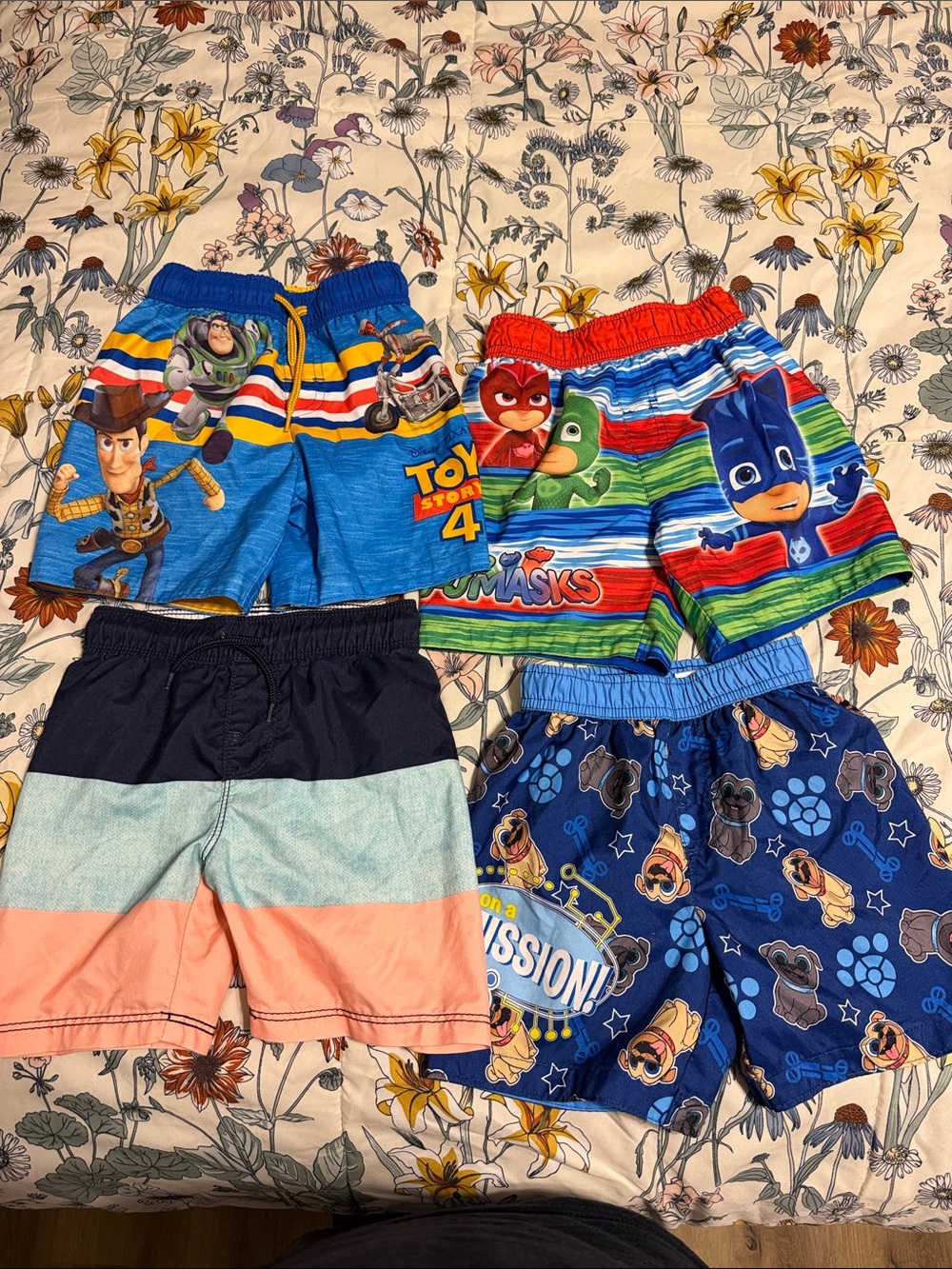 Boys' Multicolor Character Swim Shorts Pack